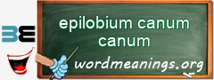 WordMeaning blackboard for epilobium canum canum